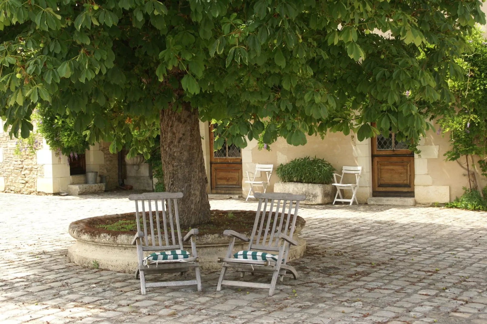 Manoir avec piscine privée-Tuinen zomer