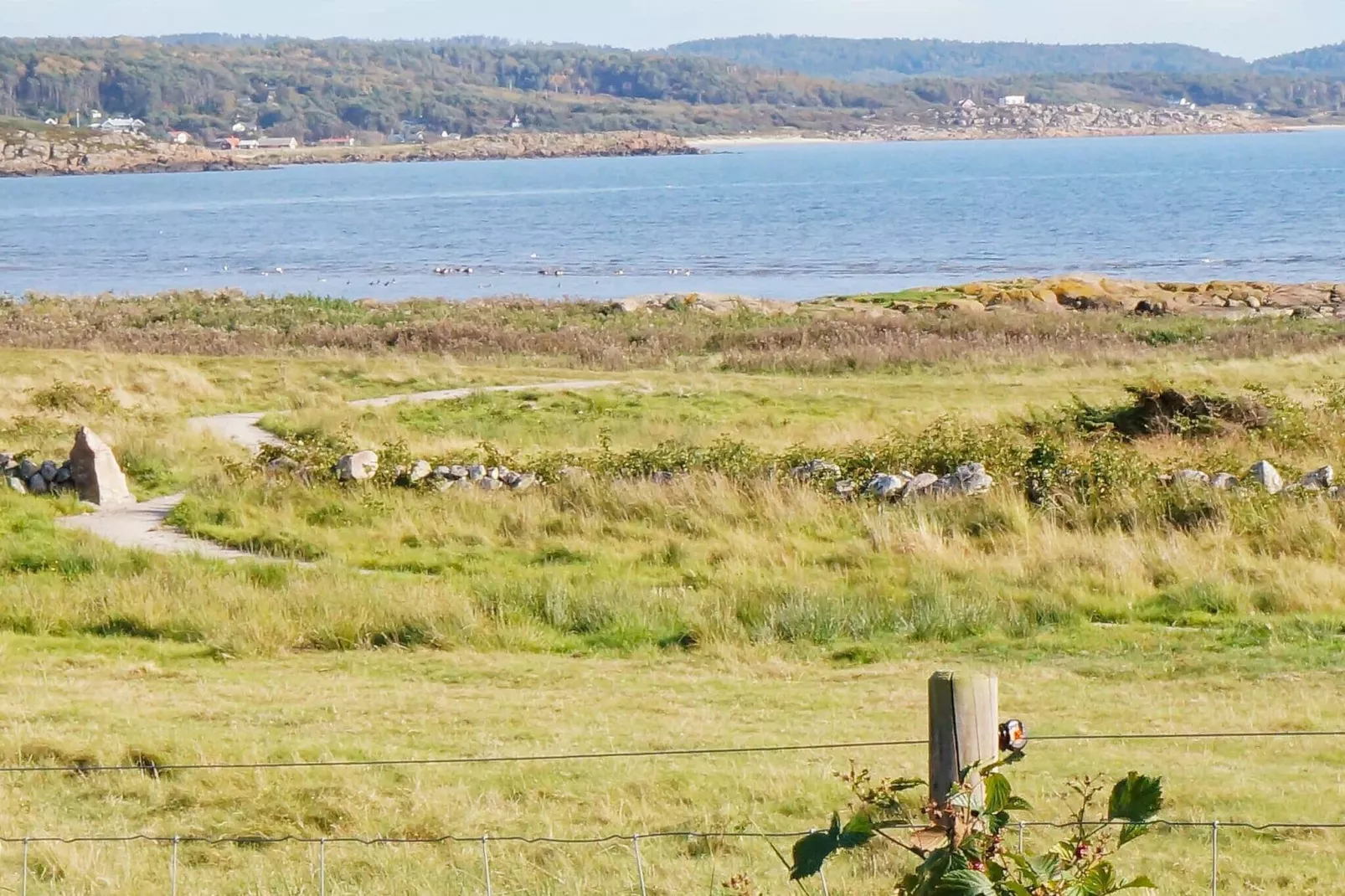 6 persoons vakantie huis in FALKENBERG-By Traum-Niet-getagd