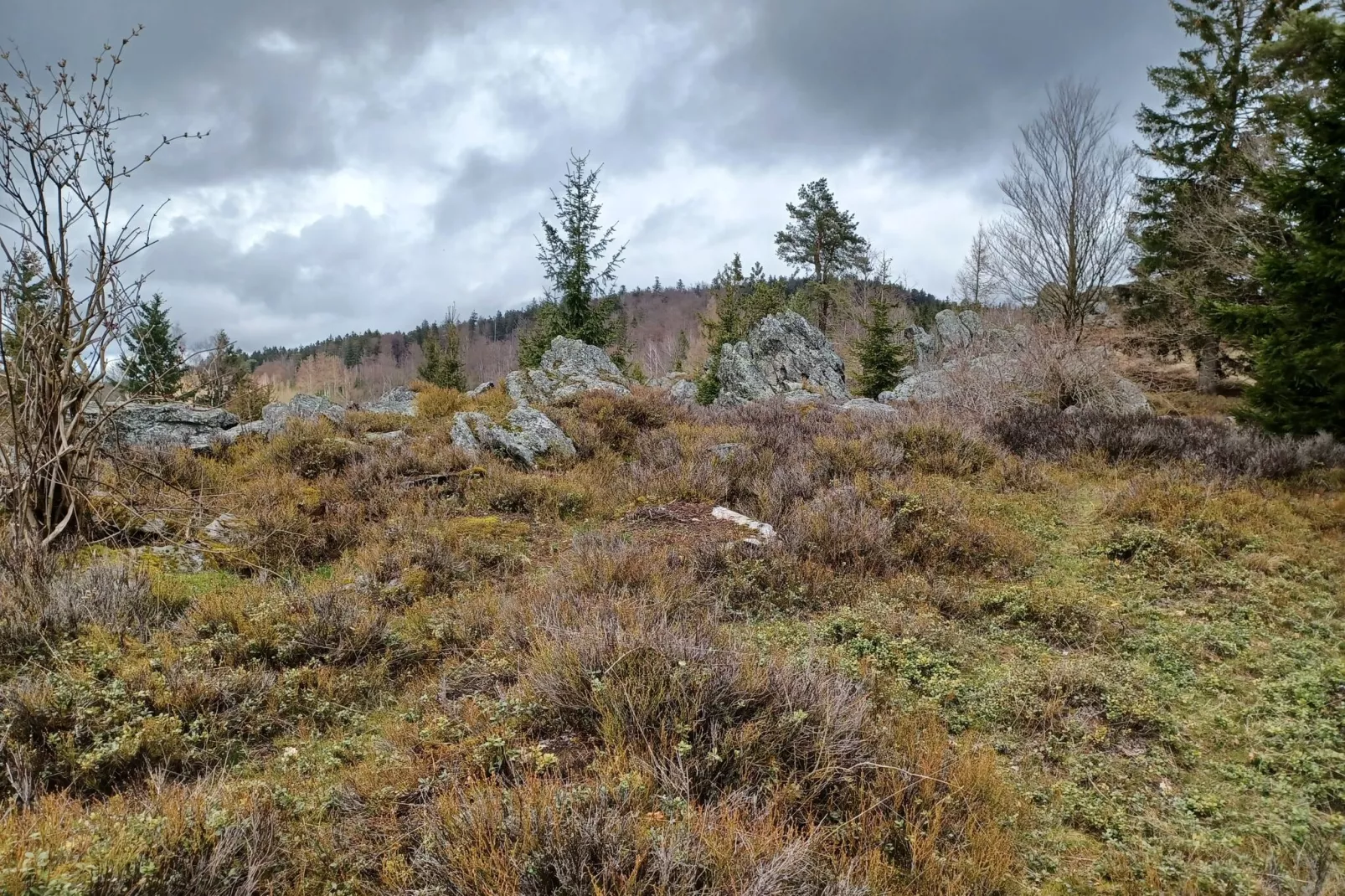 Am Hochfels-Niet-getagd