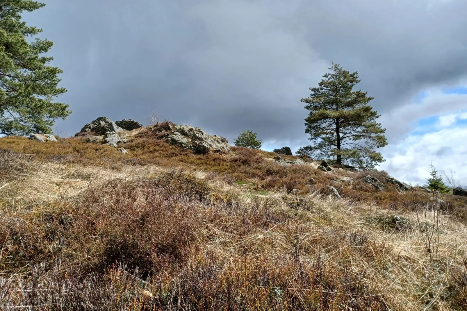 Am Hochfels-Niet-getagd