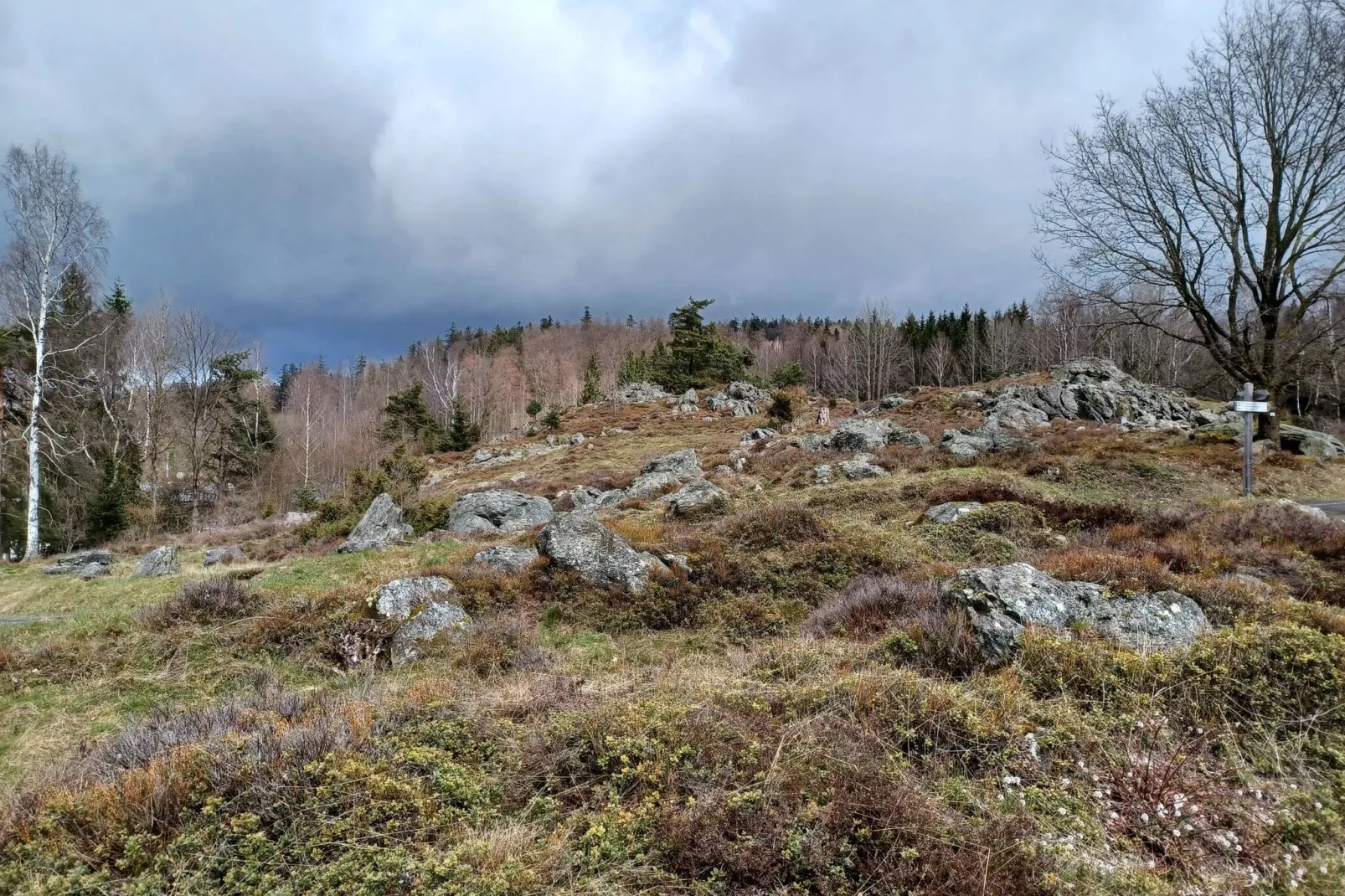 Am Hochfels-Niet-getagd