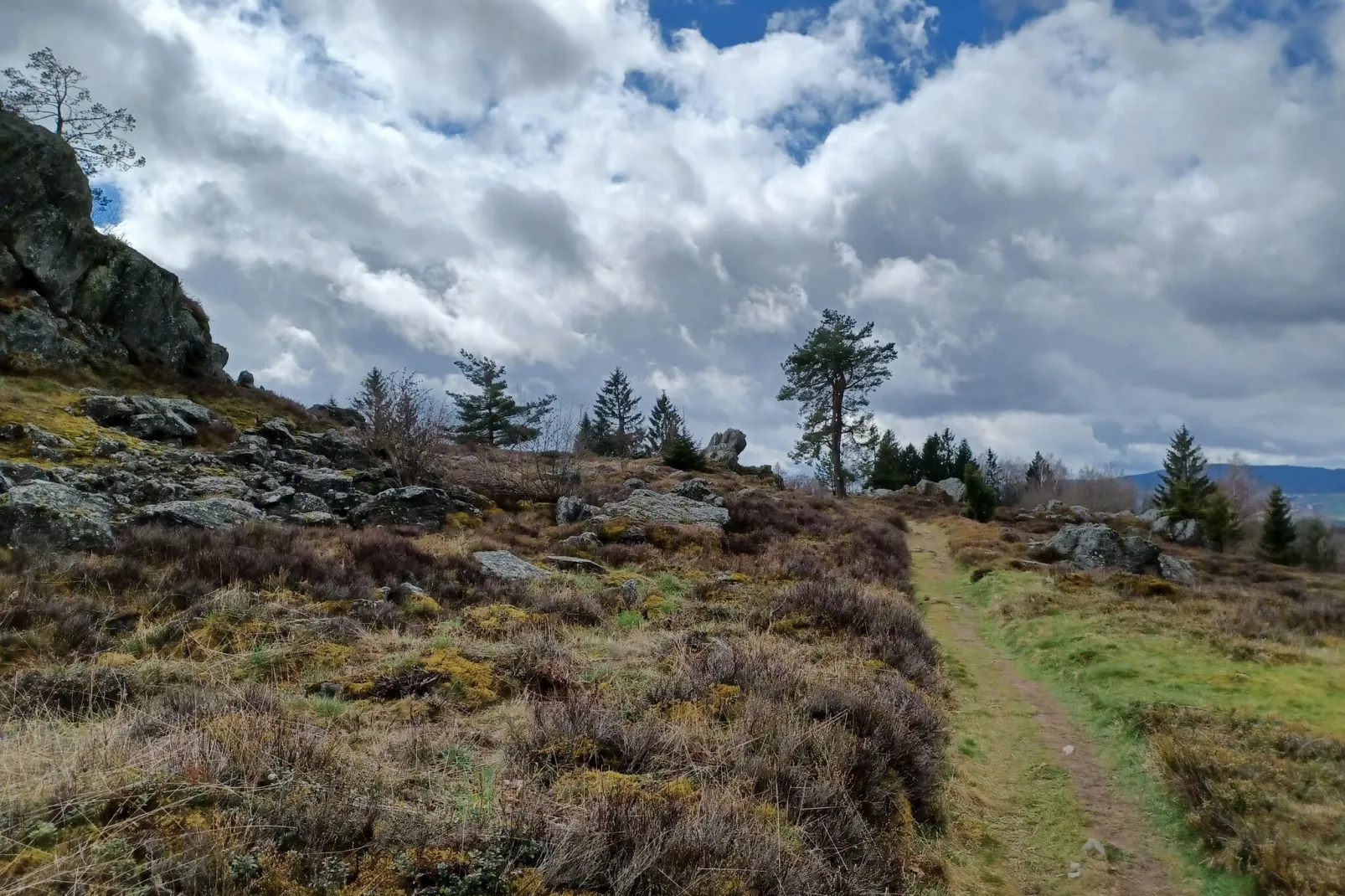 Am Hochfels-Niet-getagd