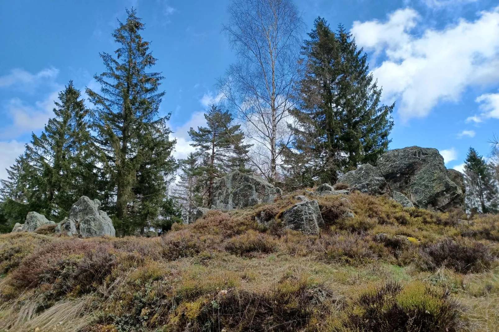 Am Hochfels-Niet-getagd