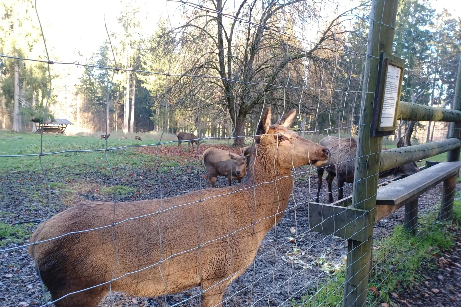 Am Hochfels-Niet-getagd