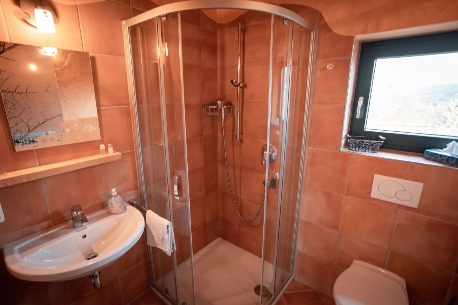 Uniek vakantiehuis in Viechtach met sauna-Badkamer