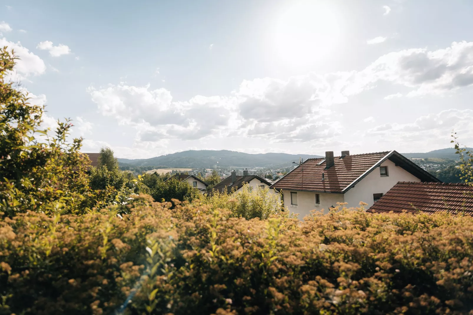 Ferienhaus mit Whirlpool und Sauna in Viechtach-Uitzicht zomer