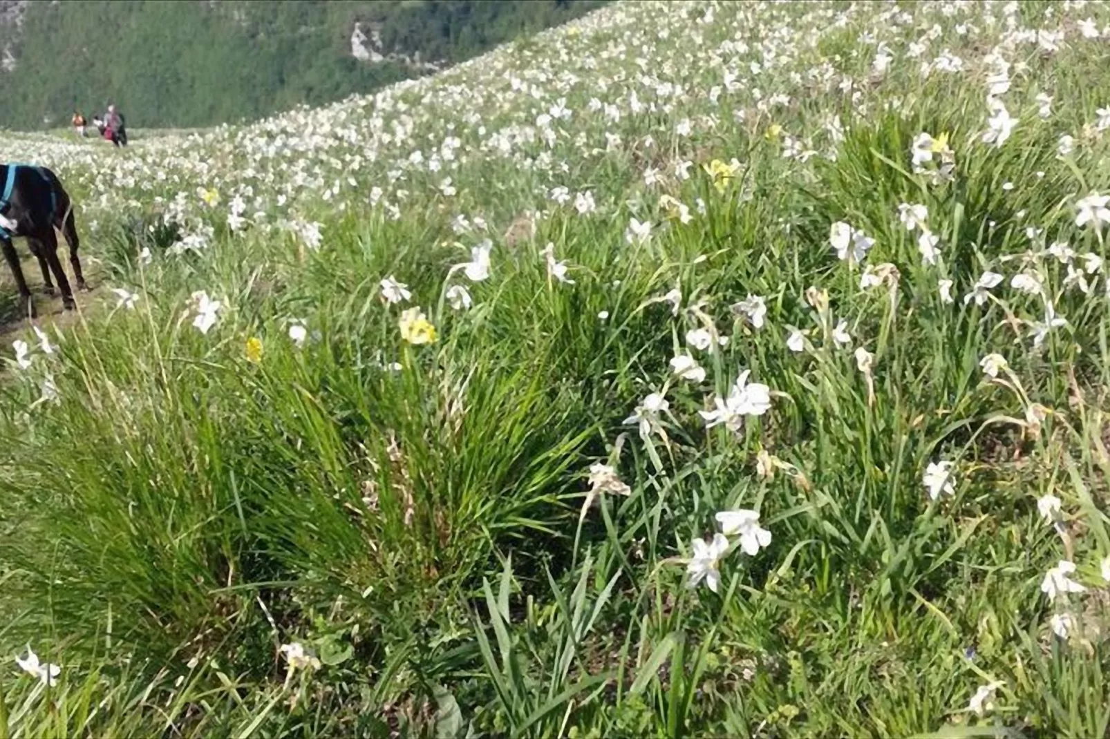 Casa Marta-Gebieden zomer 1km