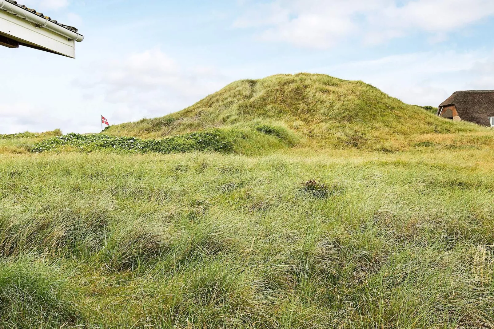 4 persoons vakantie huis in Ringkøbing-Uitzicht