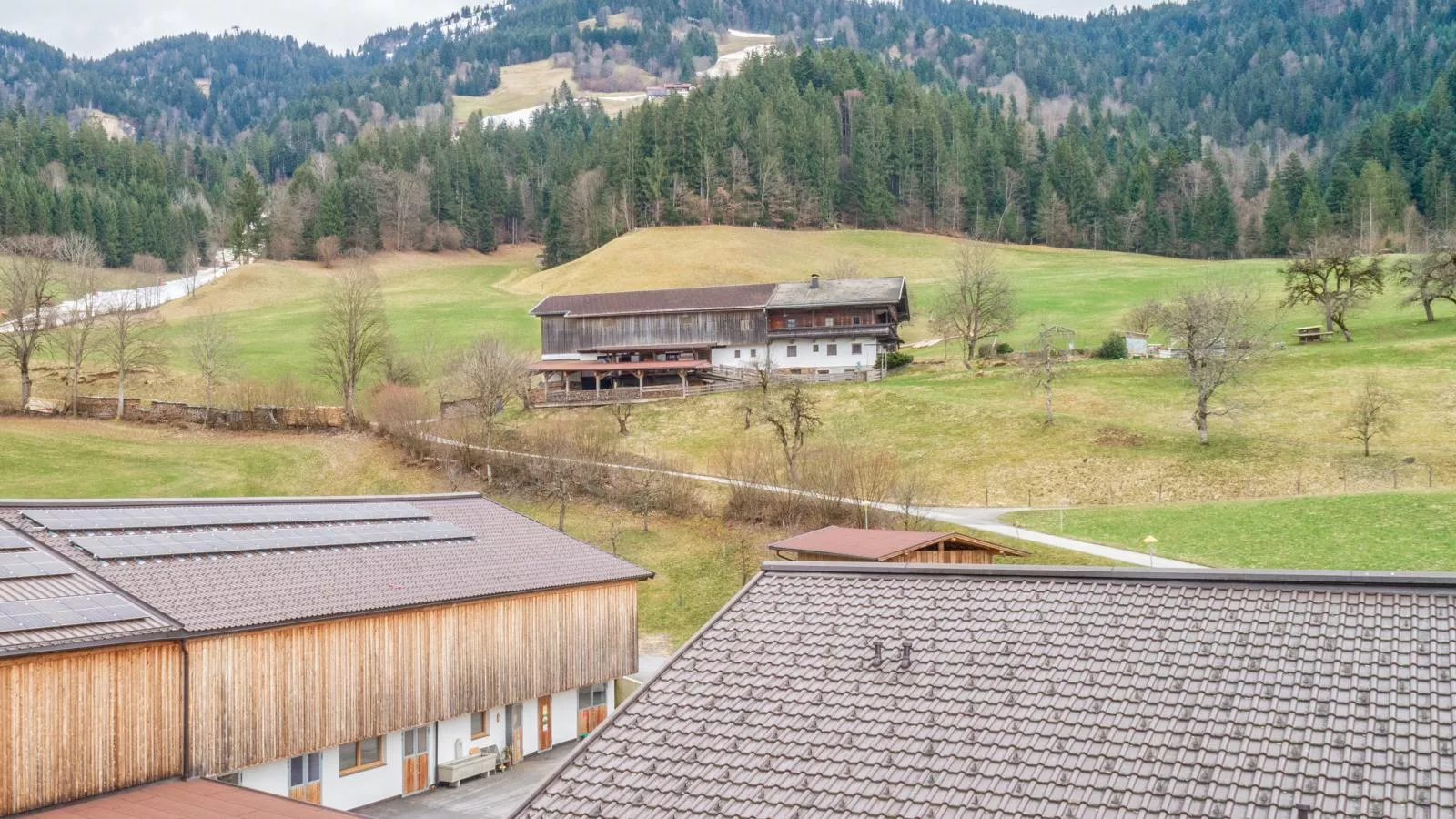 Litzlhof Kraftplatzl-Buitenkant zomer