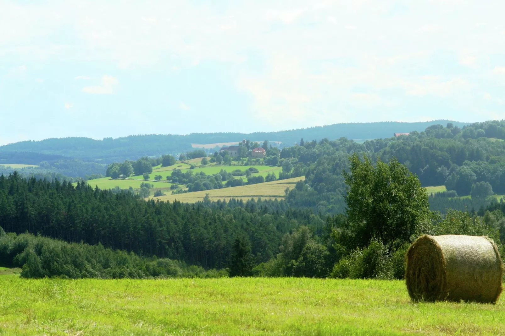 Borovice-Gebieden zomer 1km