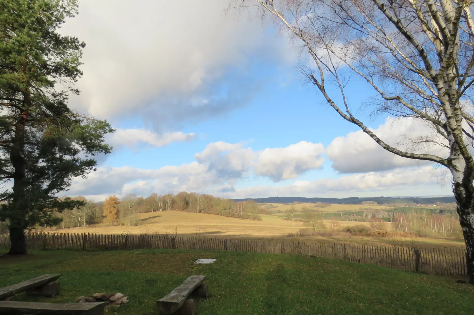 Borovice-Tuin winter