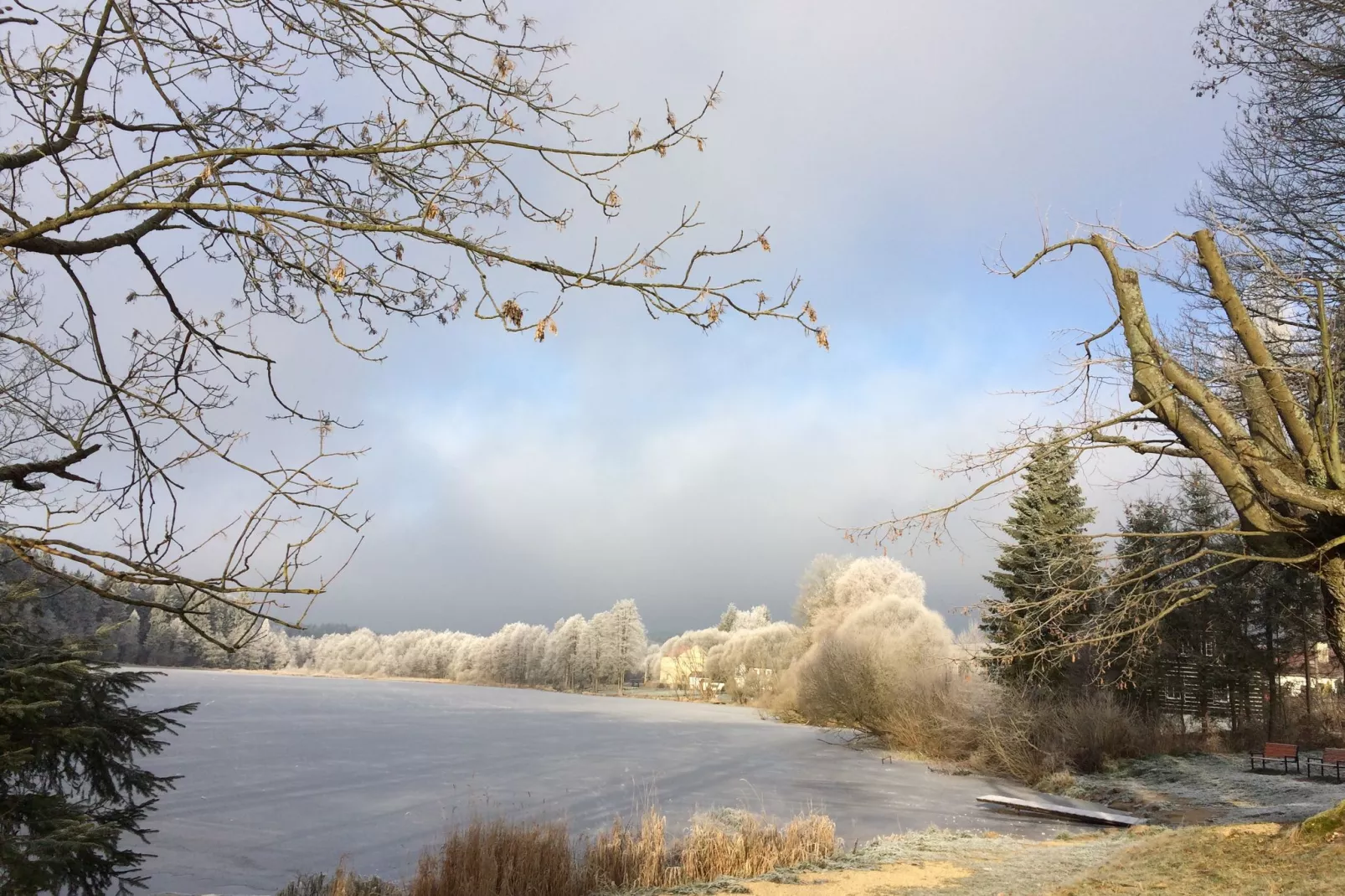 Borovice-Gebied winter 5km