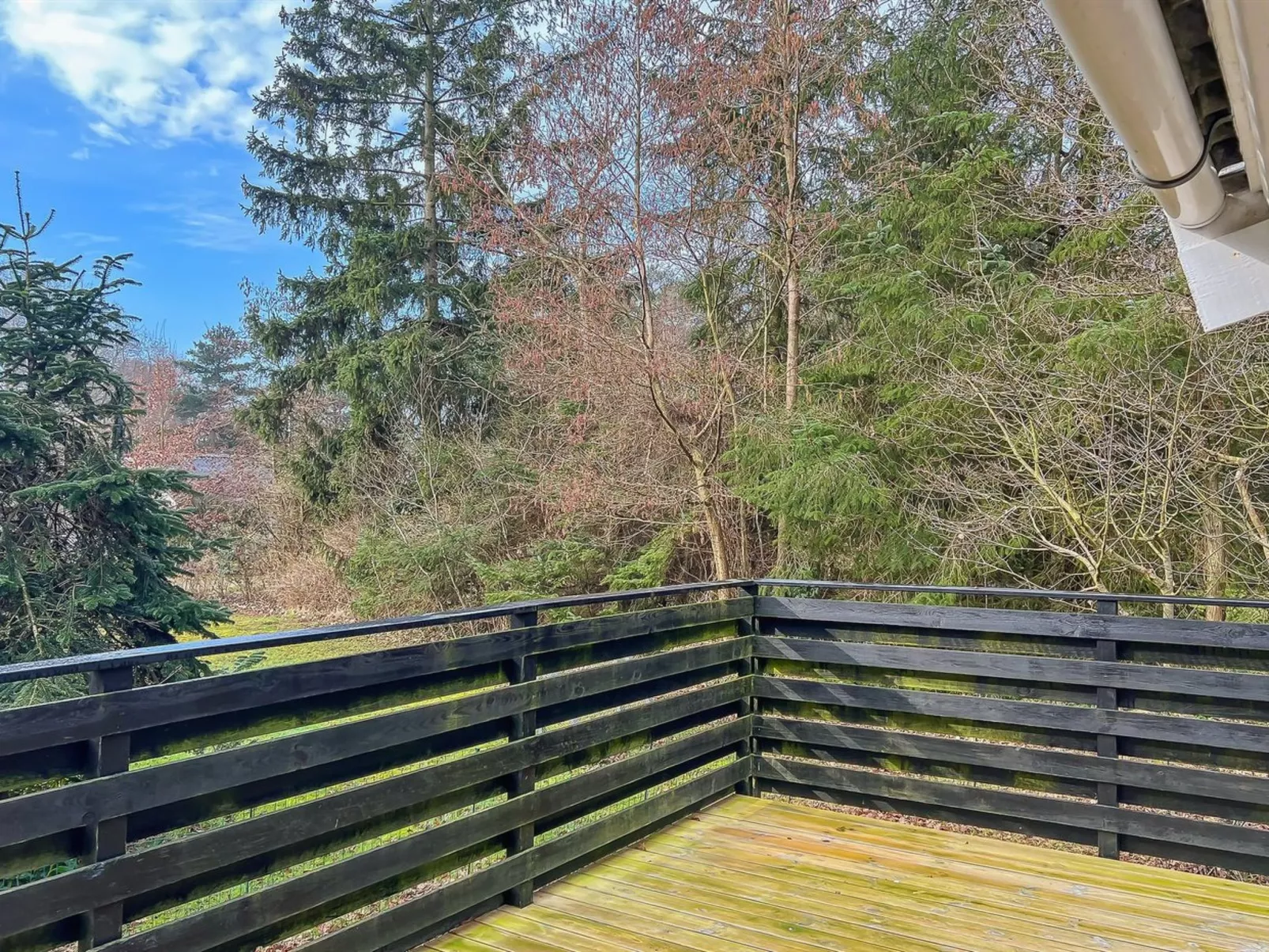 "Betti" - 700m from the sea-Binnen