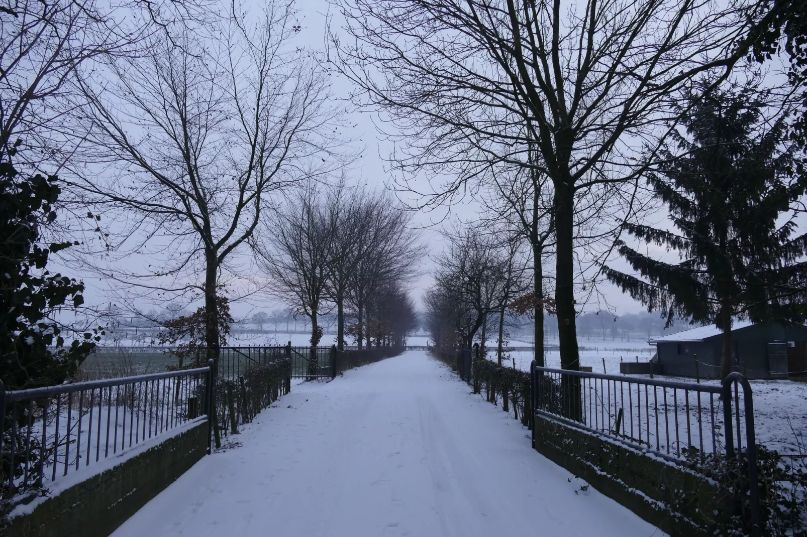 Meschermolen 10-Gebied winter 1km