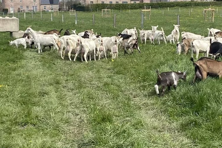 Au chant des grenouilles-Faciliteiten