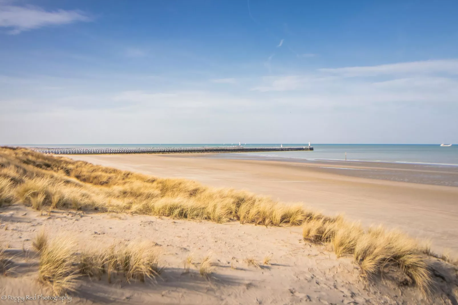 LECTUS 233/0201-Gebieden zomer 20km