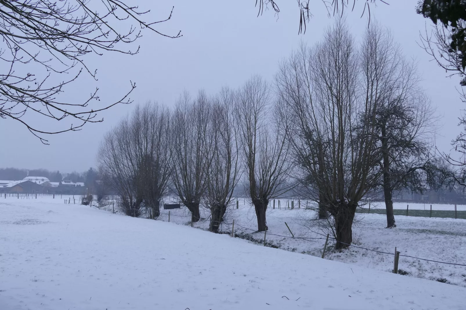 Meschermolen 10-Gebied winter 1km