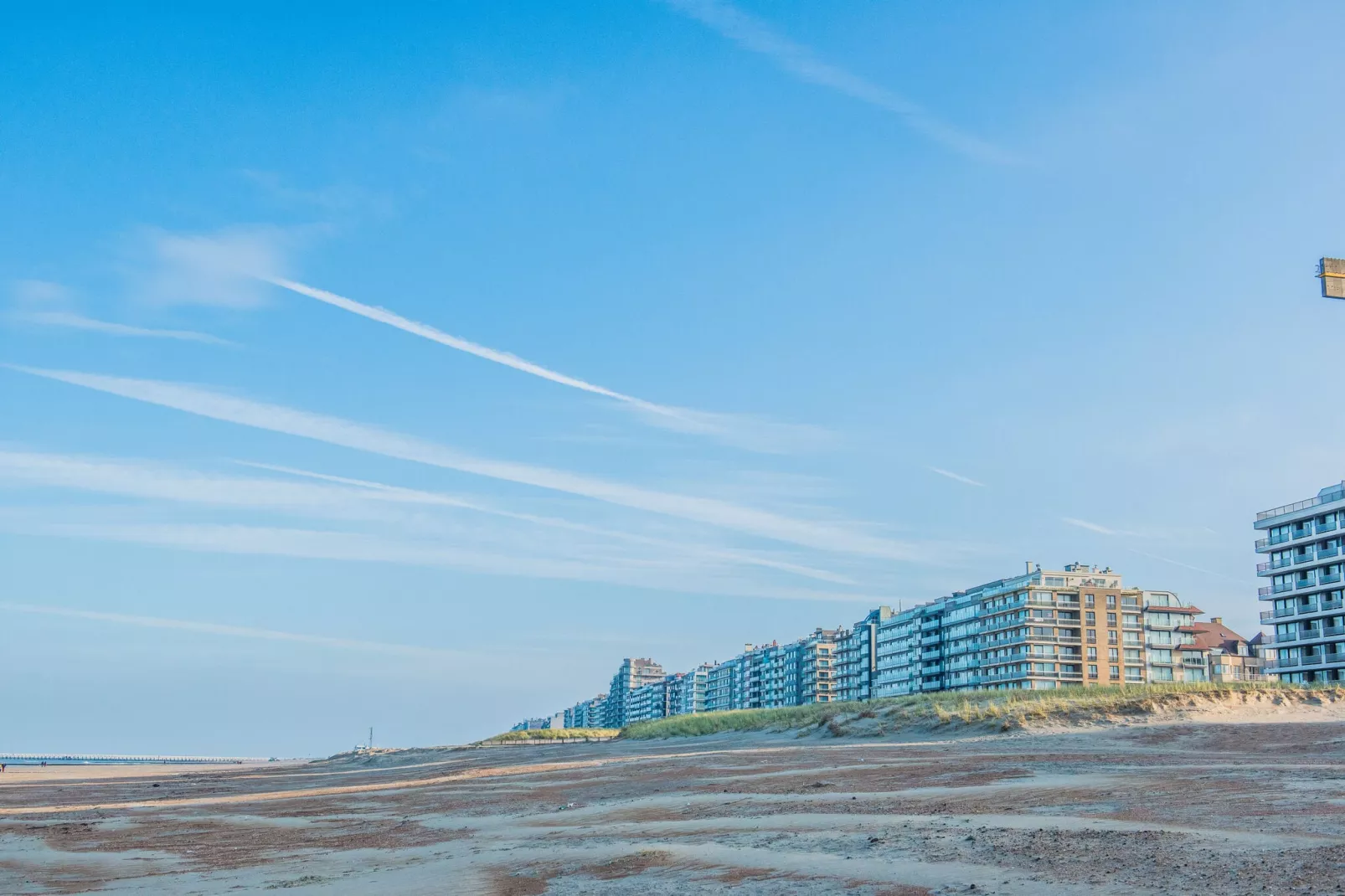 SANDY CAPE 401-Gebieden zomer 1km