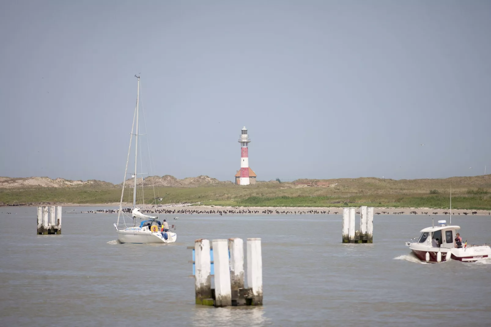 SANDY CAPE 401-Gebieden zomer 1km