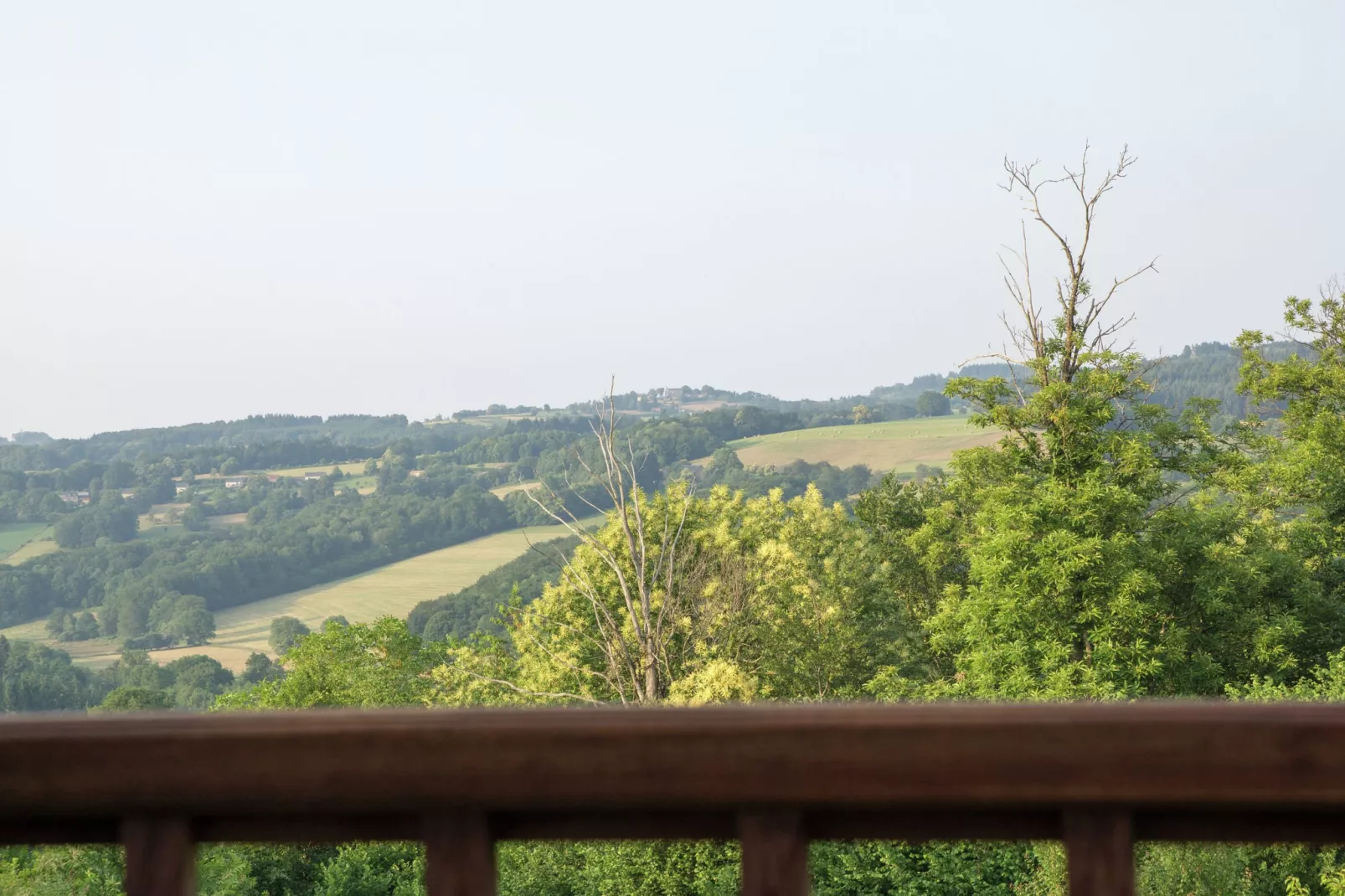 Maison de vacances Sussac-Uitzicht zomer