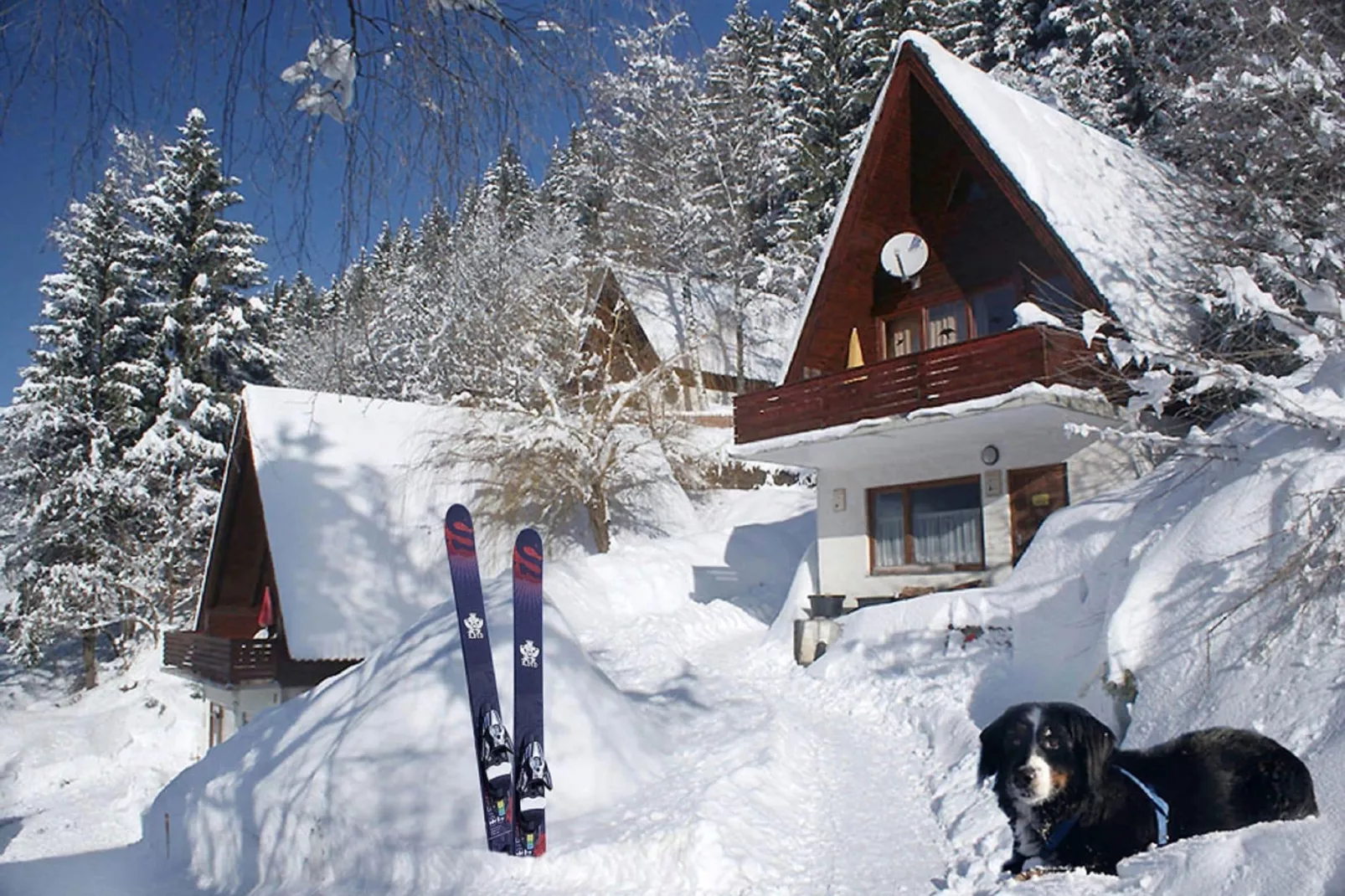 Ferienhaus Jenig-Exterieur winter