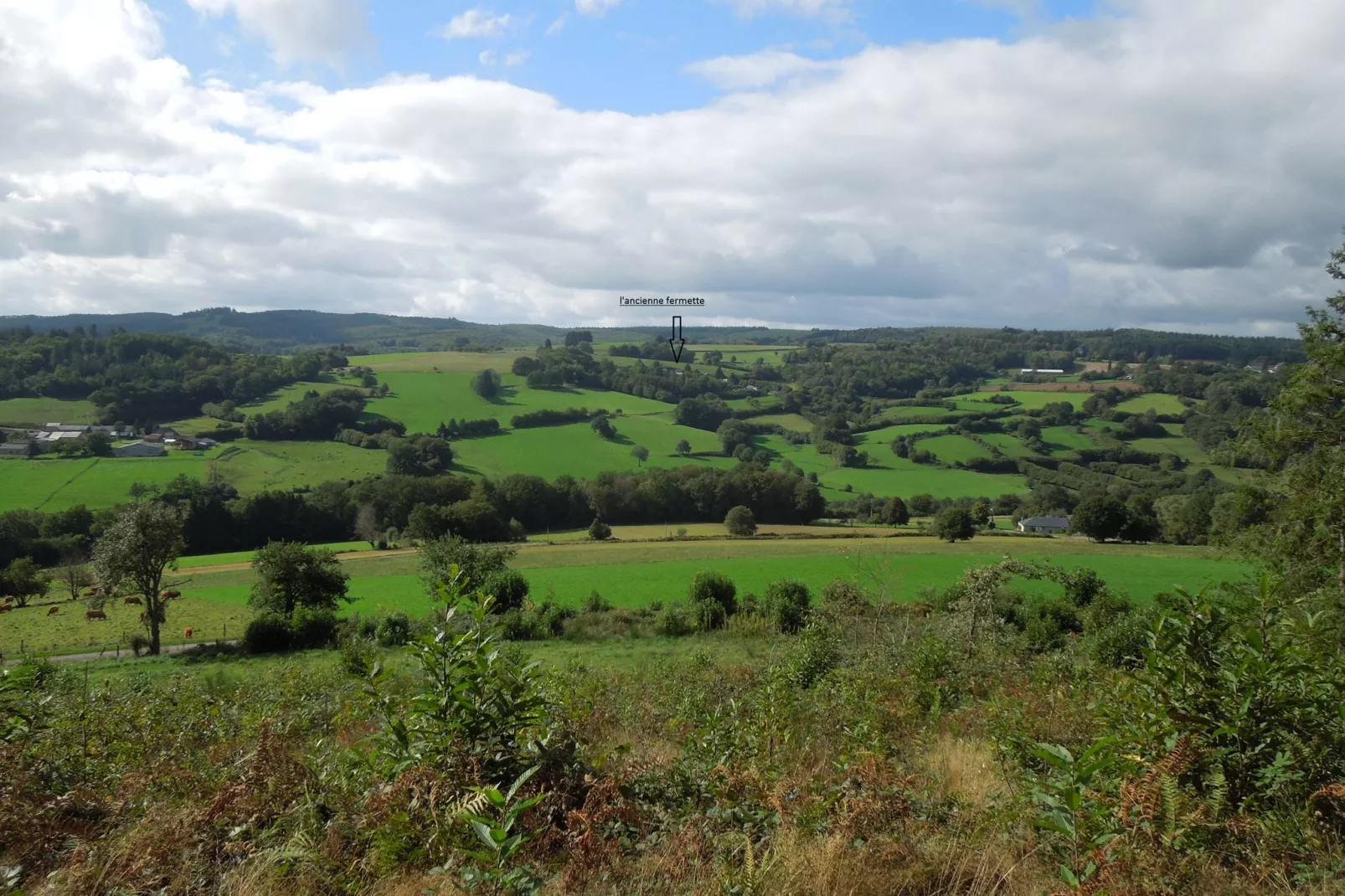 Maison de vacances Sussac-Gebieden zomer 1km