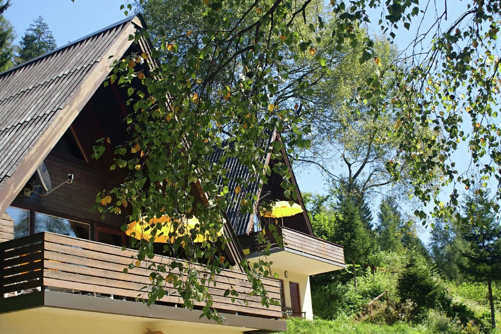 Ferienhaus Jenig-Buitenkant zomer