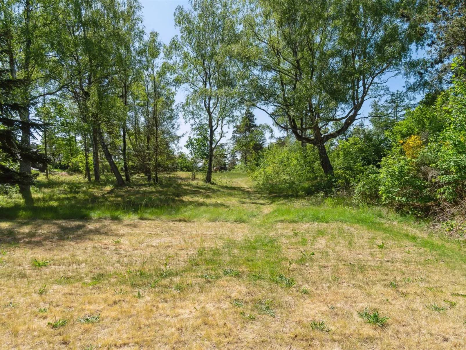 "Benja" - 150m from the sea-Buiten