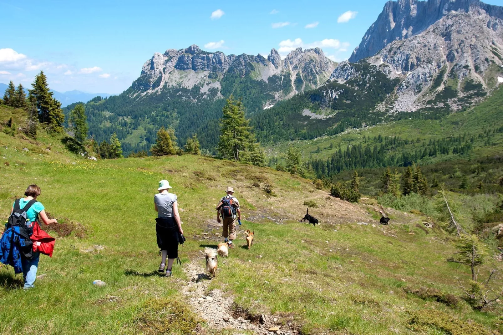 Ferienhaus Jenig-Gebieden zomer 1km