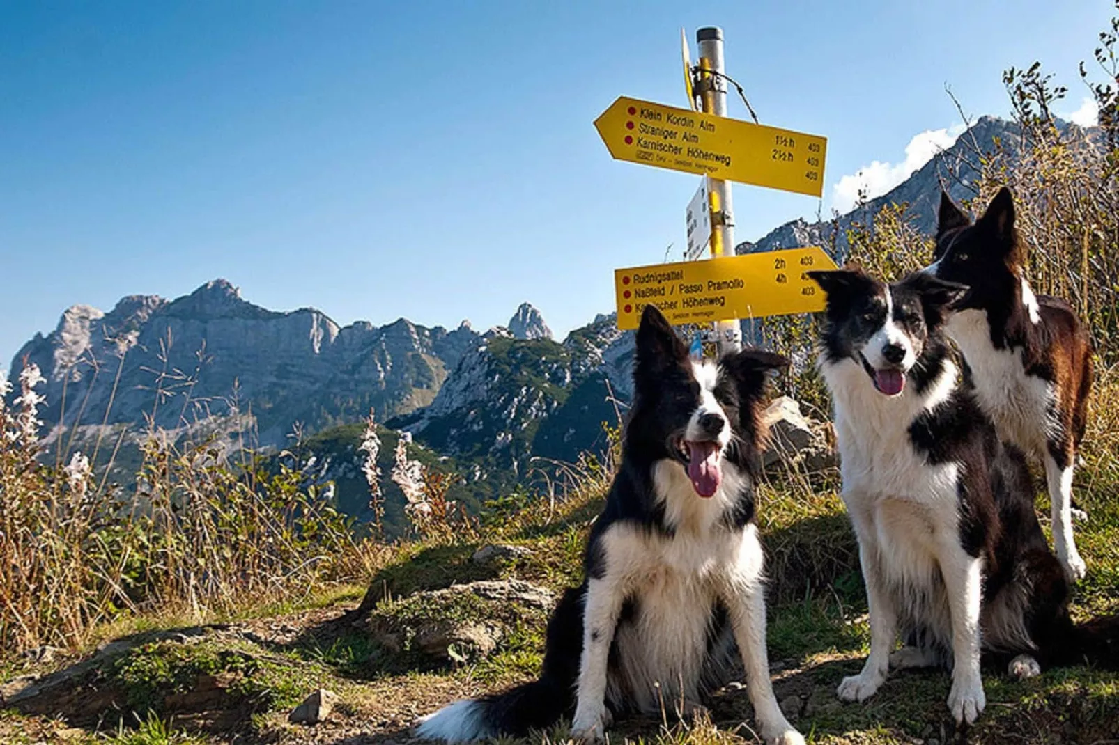 Ferienhaus Jenig-Gebieden zomer 1km