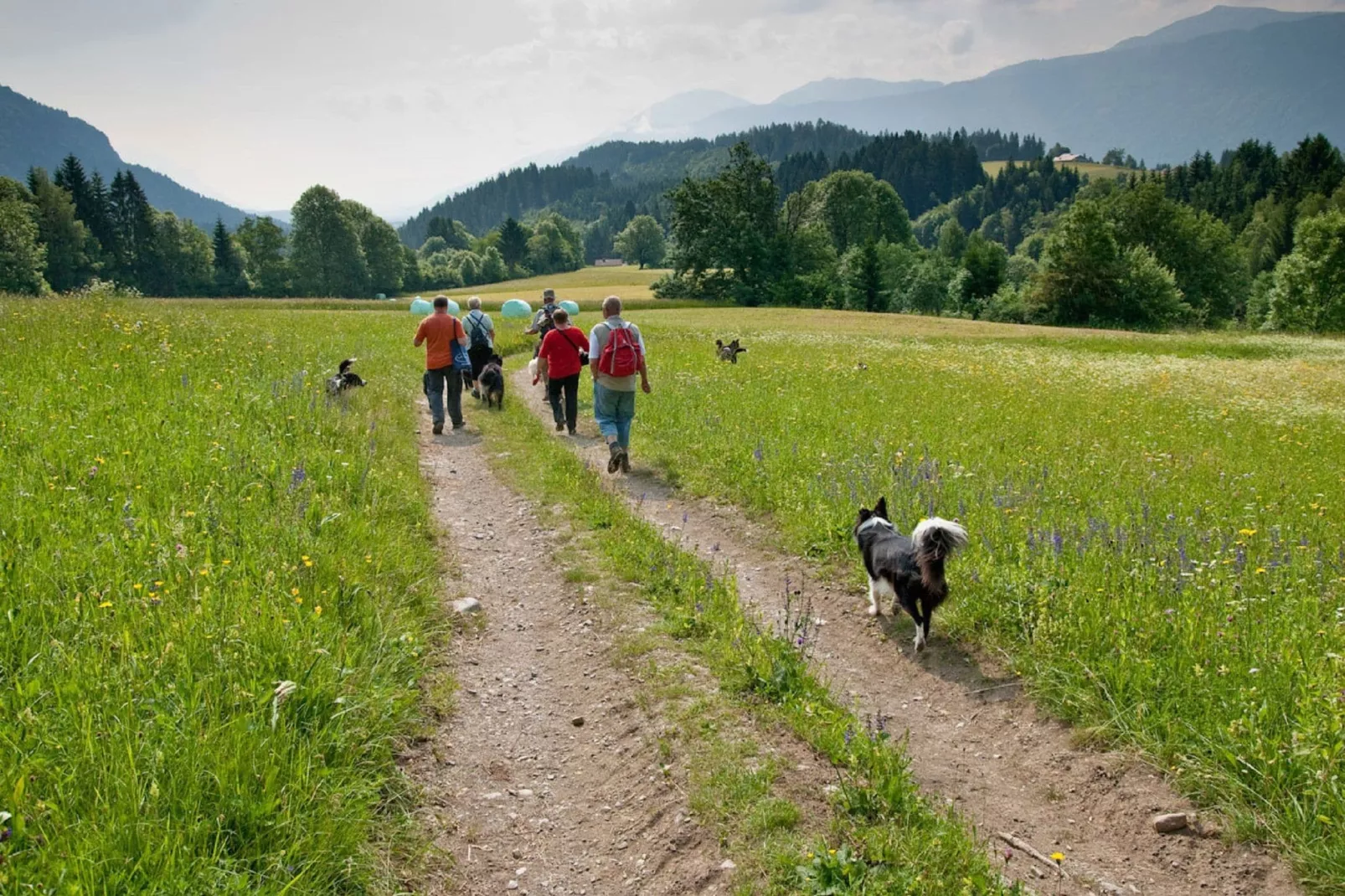 Ferienhaus Jenig-Gebieden zomer 1km