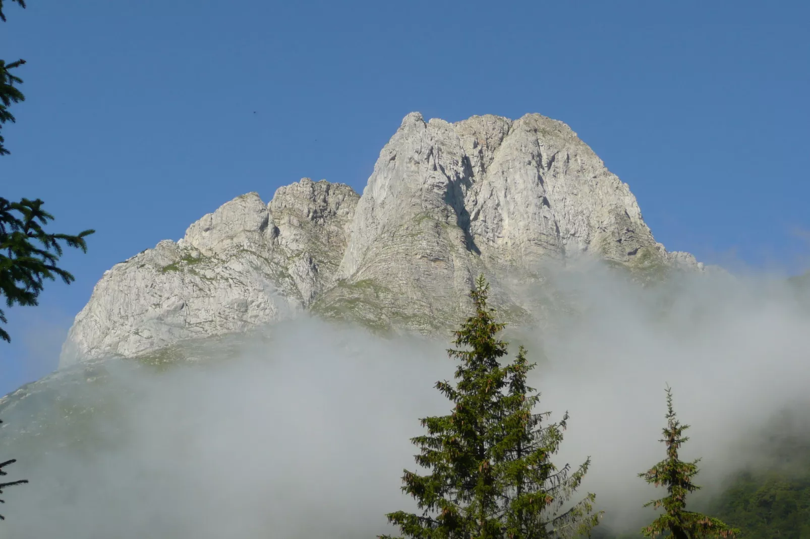 Haus Tröpolach-Gebieden zomer 5km