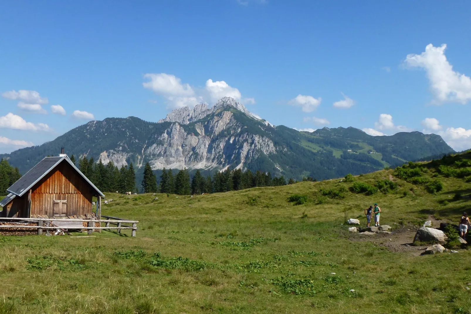 Haus Tröpolach-Gebieden zomer 20km