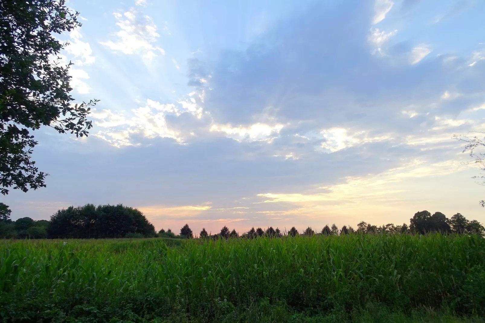 Meistershofken-Uitzicht zomer