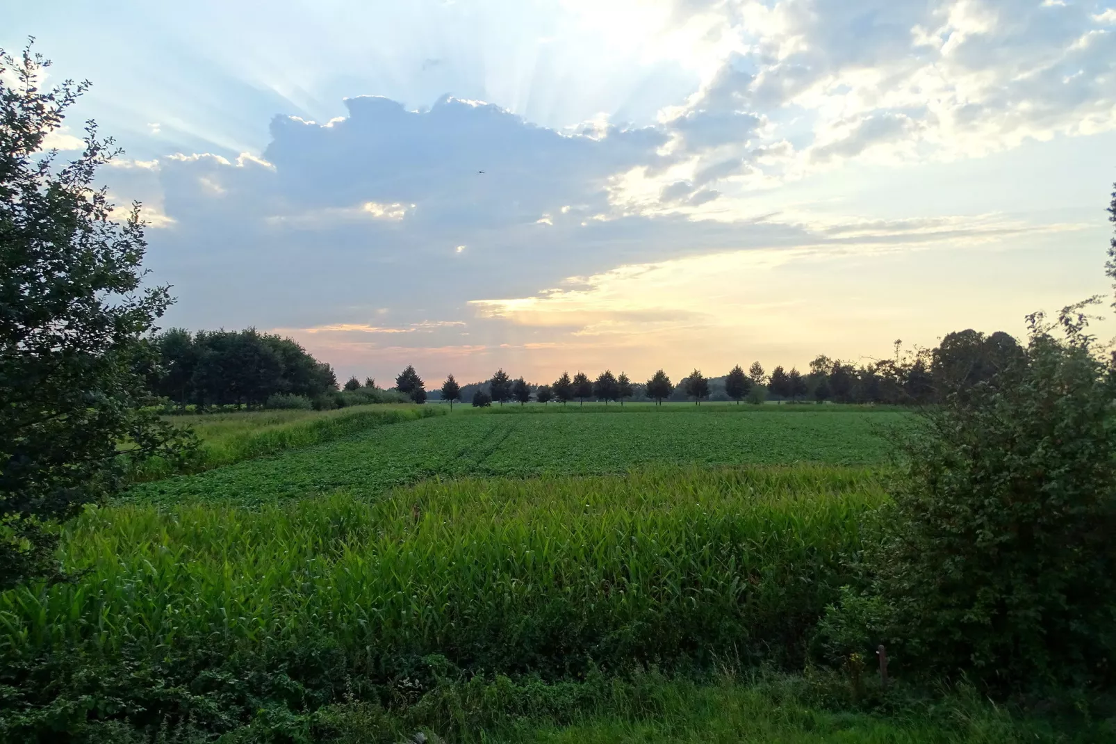 Meistershofken-Uitzicht zomer