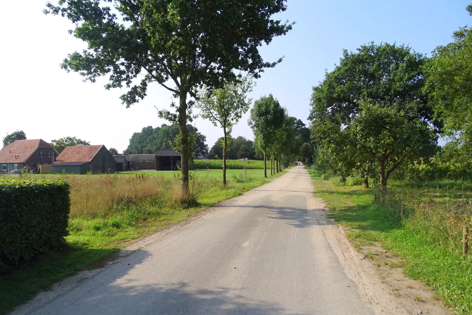 Meistershofken-Gebieden zomer 1km