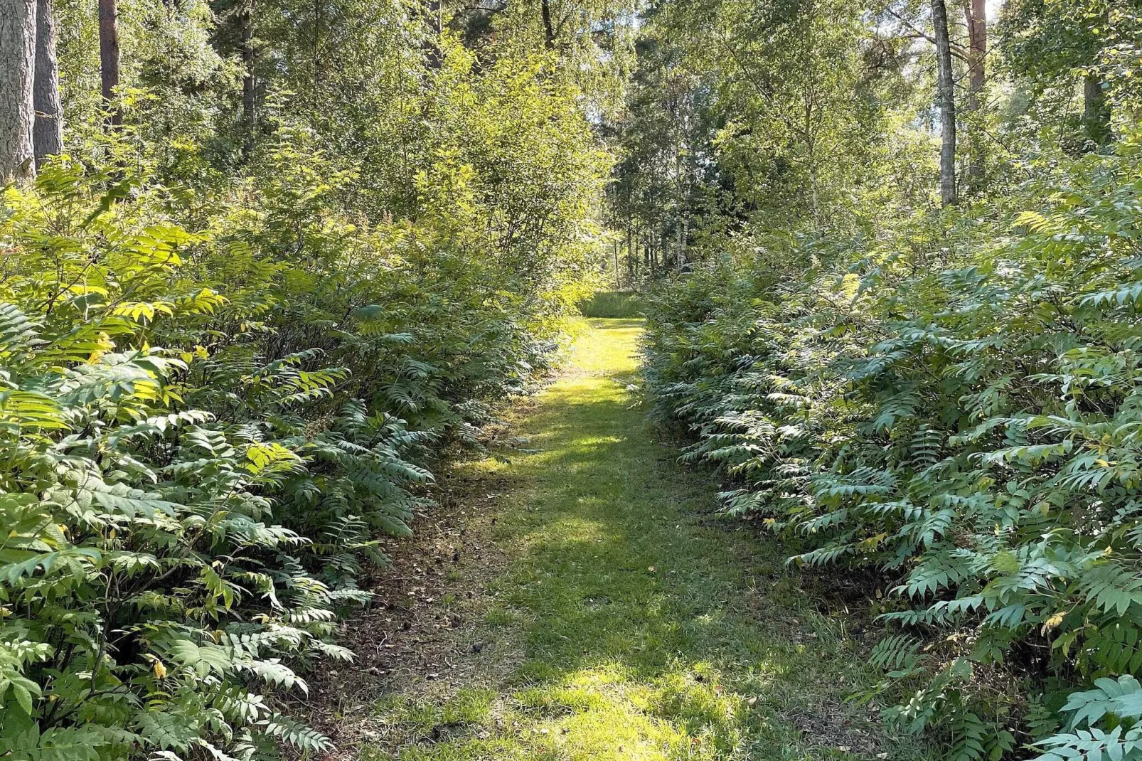6 persoons vakantie huis in BLENTARP-By Traum-Buitenlucht