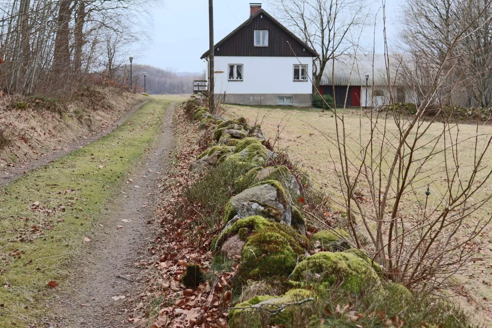 9 persoons vakantie huis in BÅSTAD-Buitenlucht