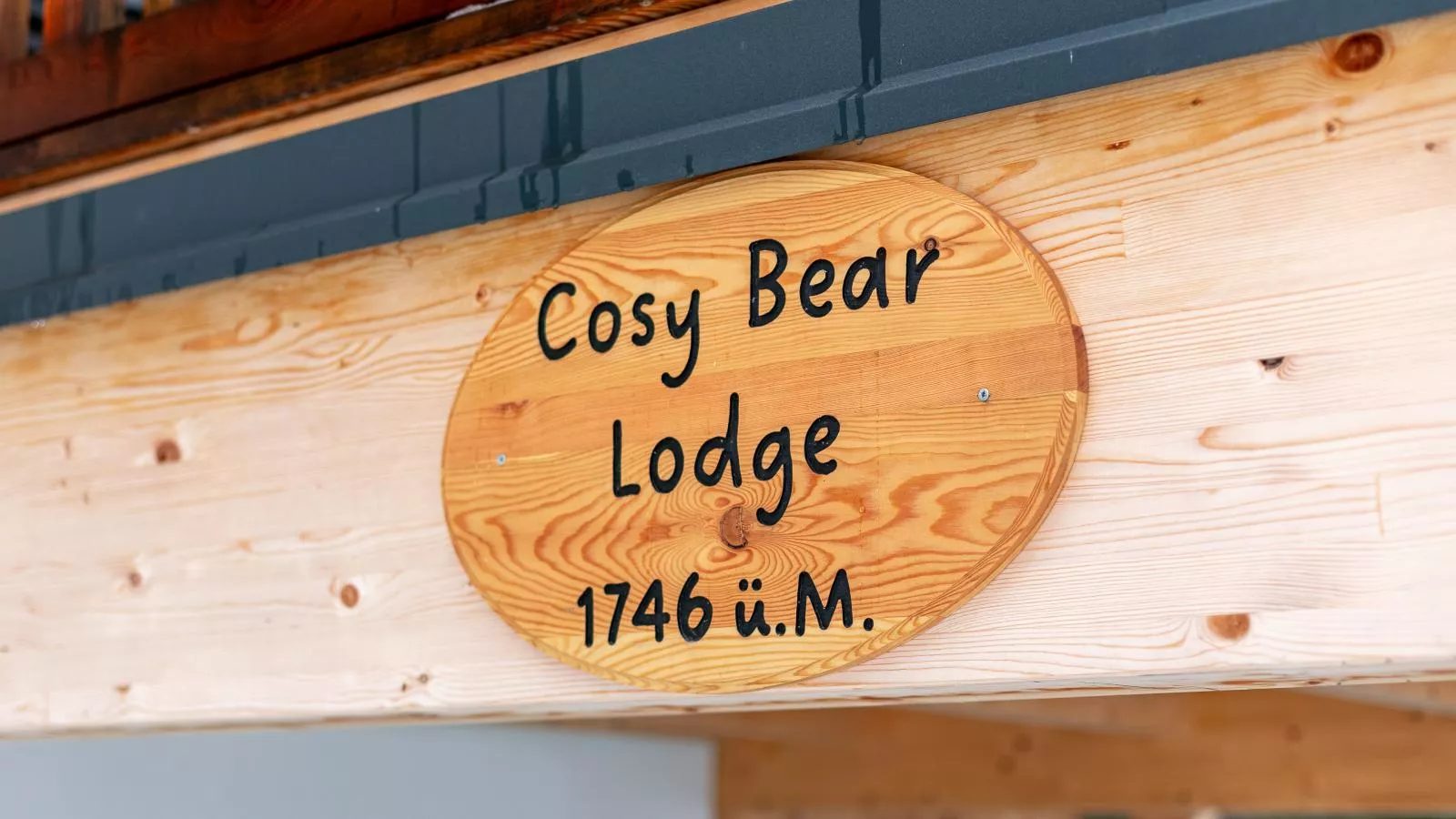The Cosy Bear Lodge-Exterieur winter