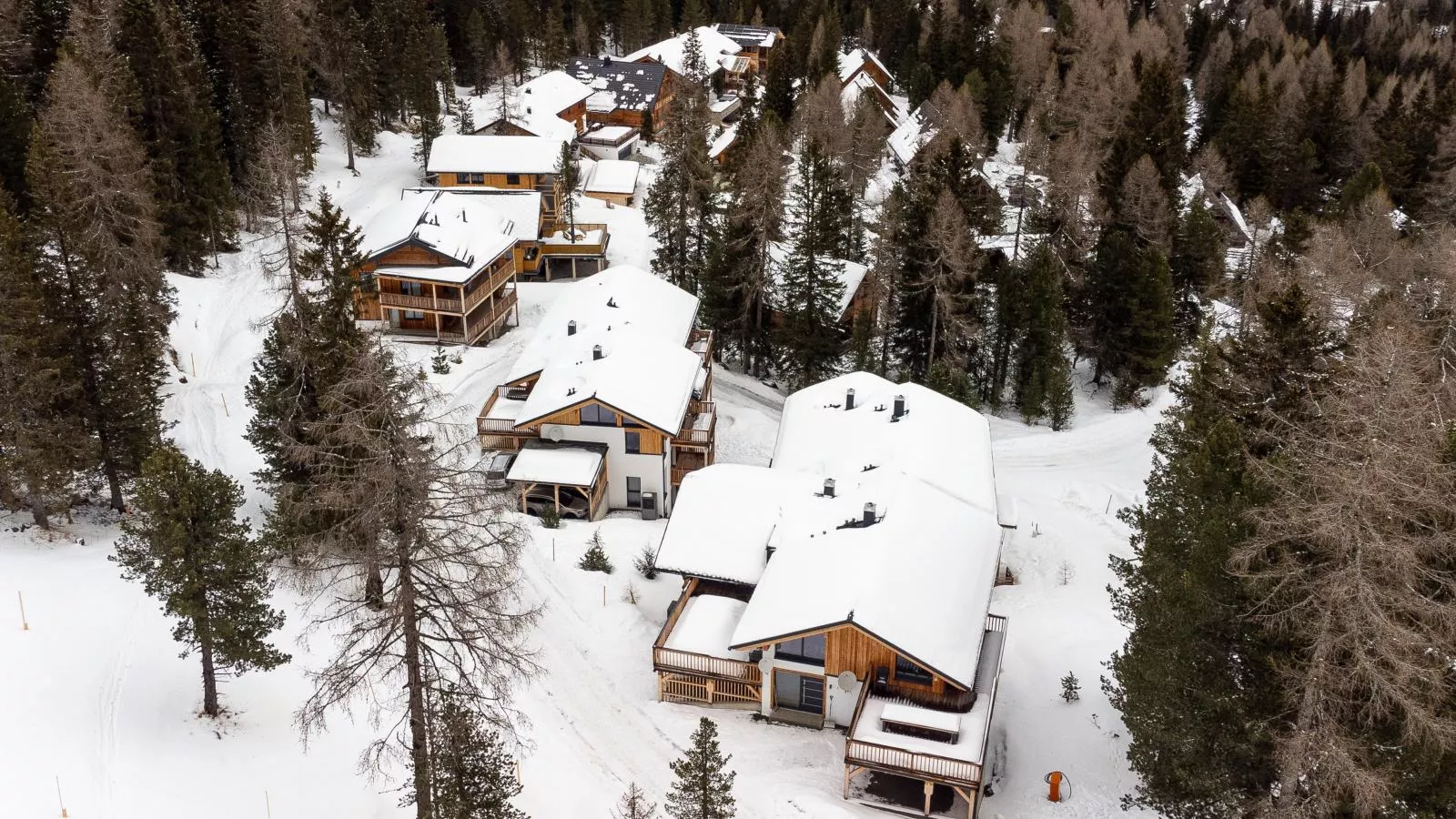 The Cosy Bear Lodge-Exterieur winter