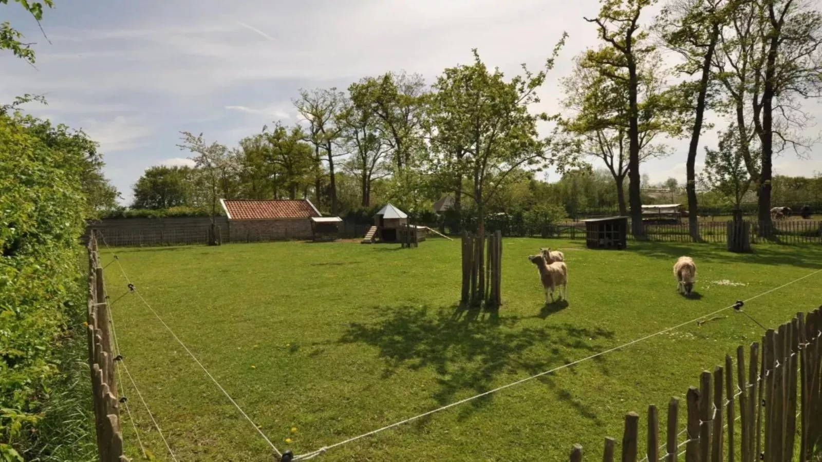 Gastenverblijf Prinsensteeg-Uitzicht zomer