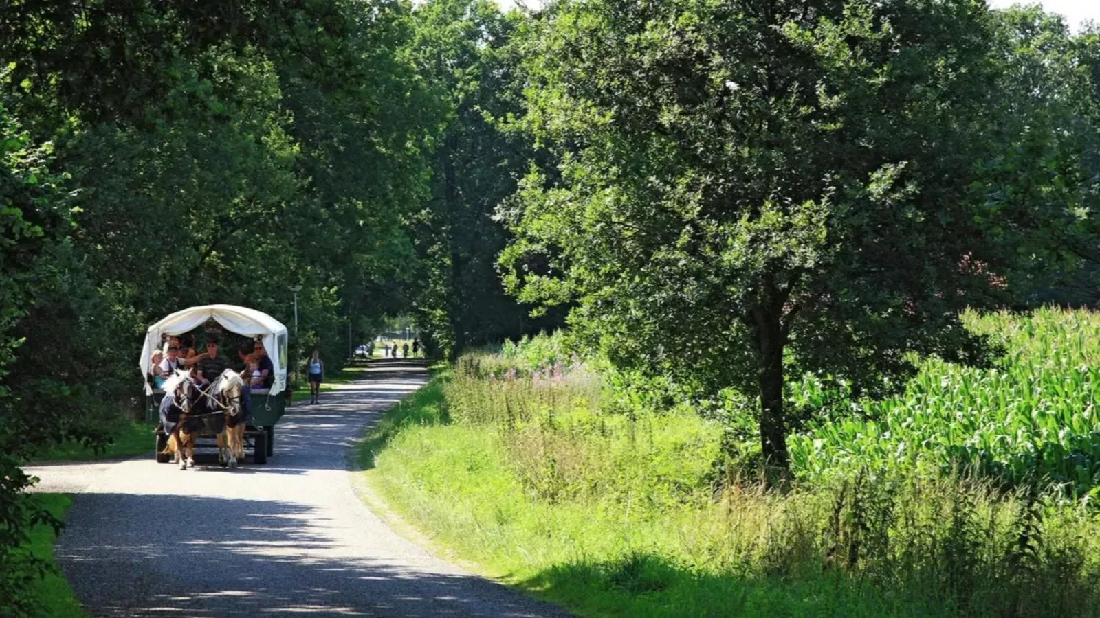 Gastenverblijf Prinsensteeg