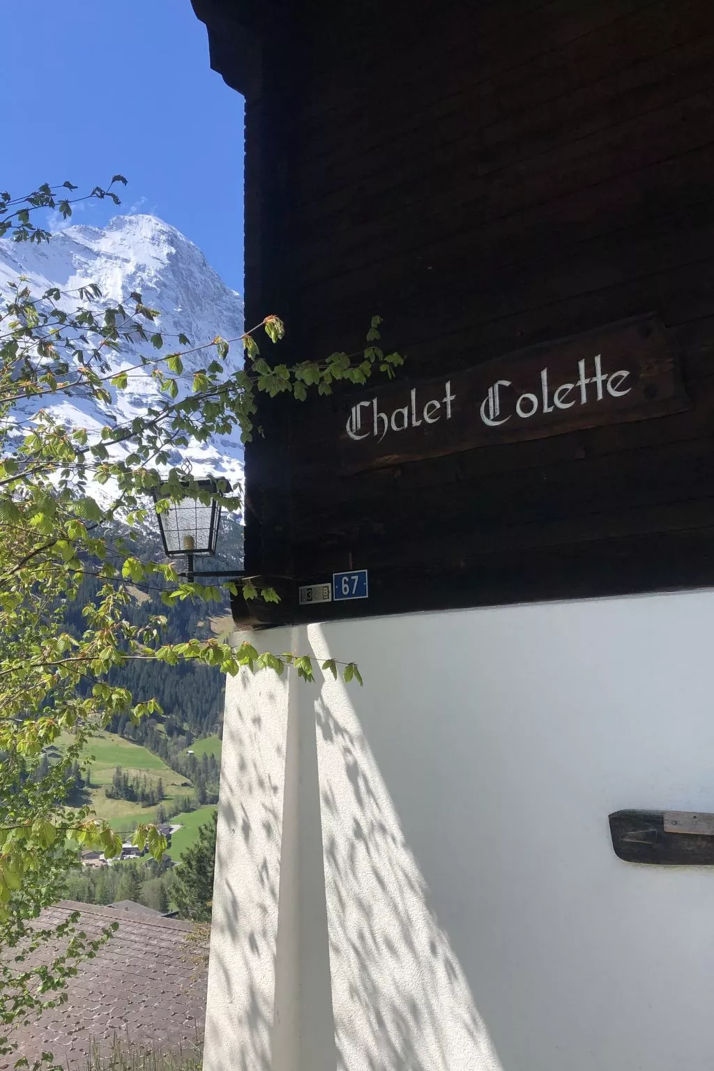 Chalet Colette-Buiten