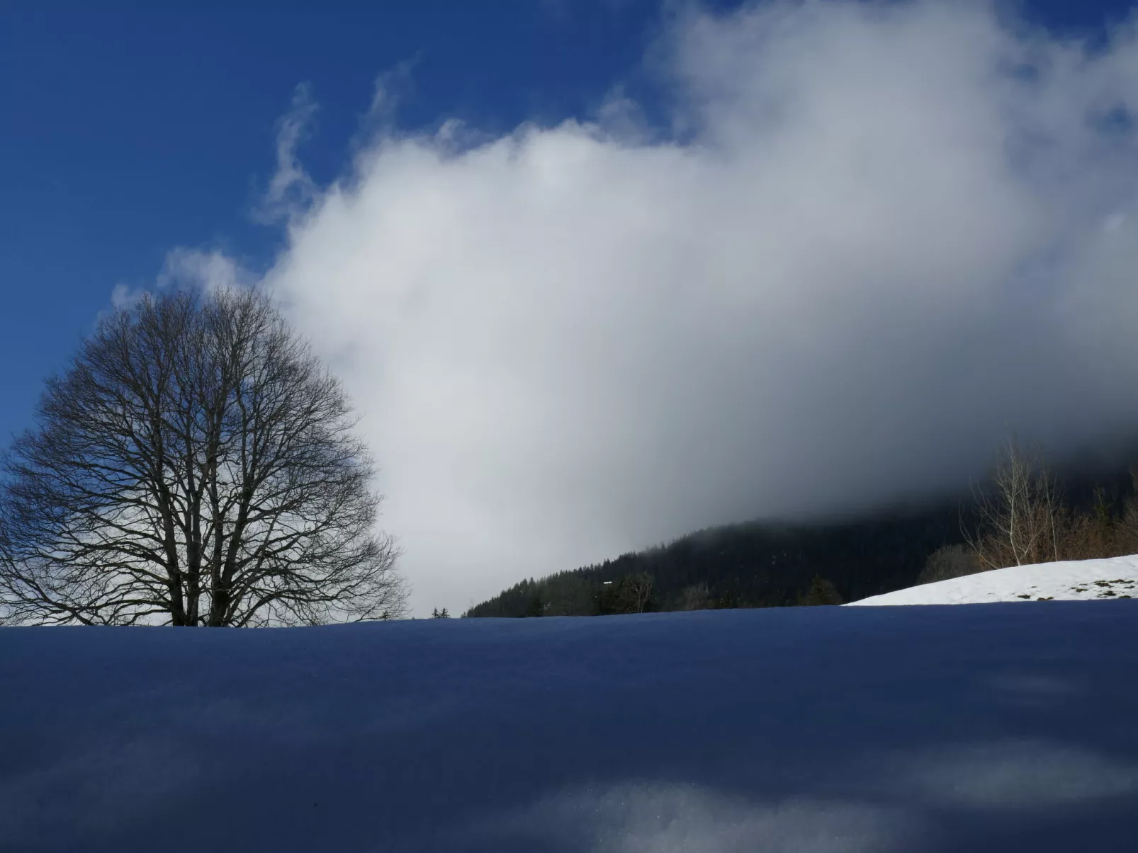 Chalet Colette-Buiten