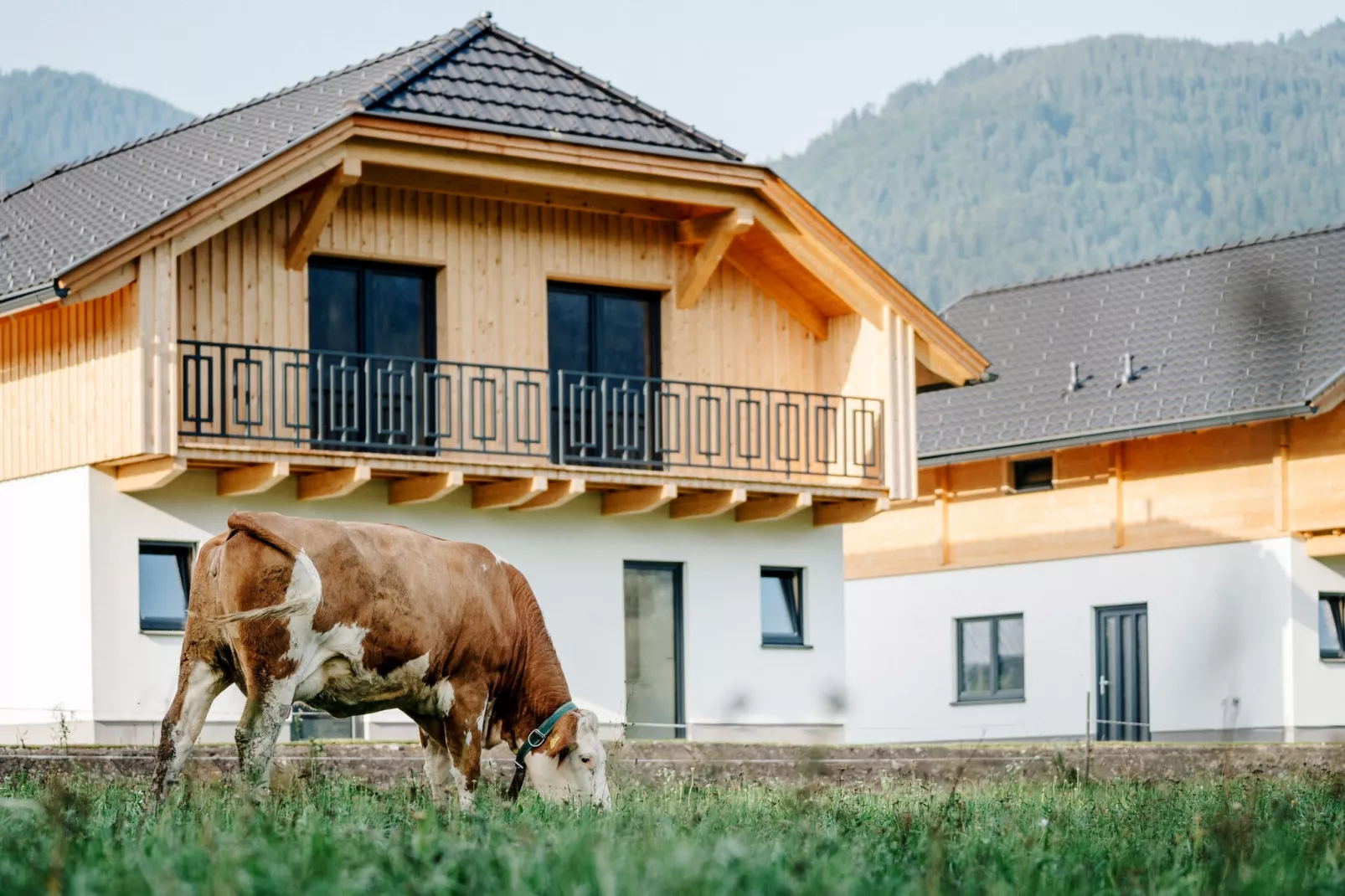 Clofers Relax Residences Rattendorf-Buitenkant zomer