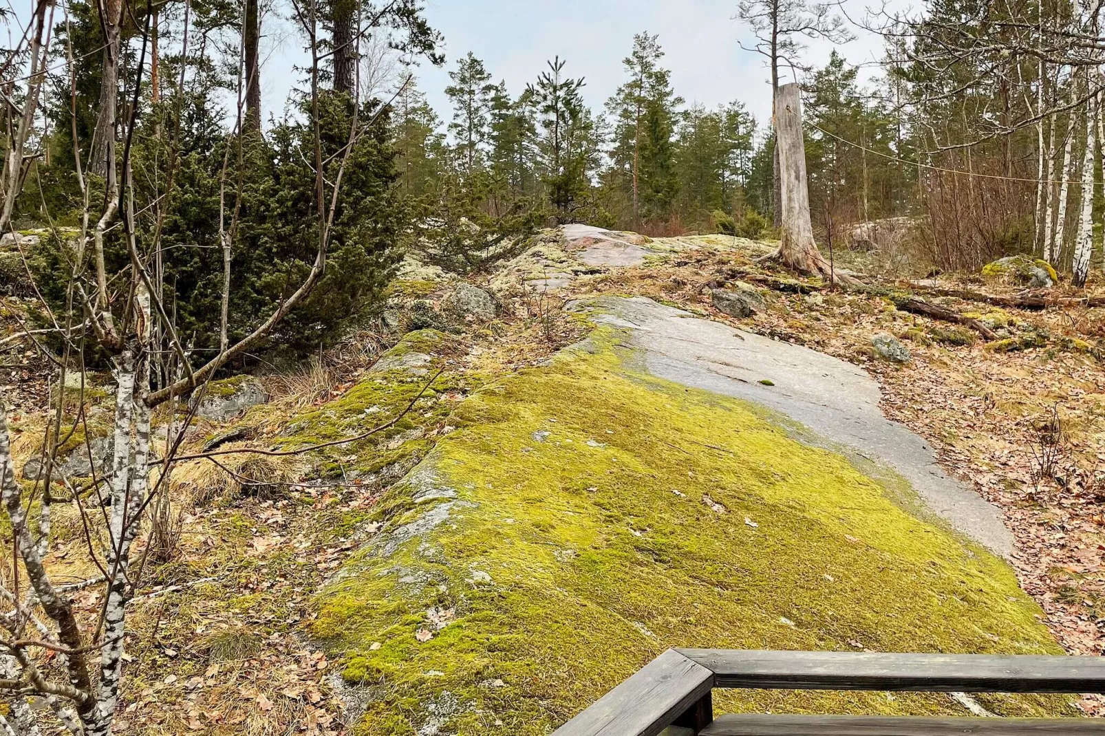 4 persoons vakantie huis in Norrtälje-By Traum-Buitenlucht