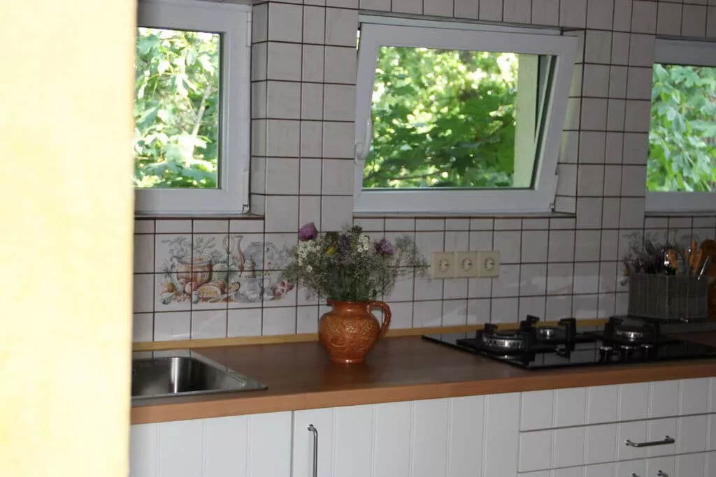 36626-Keuken