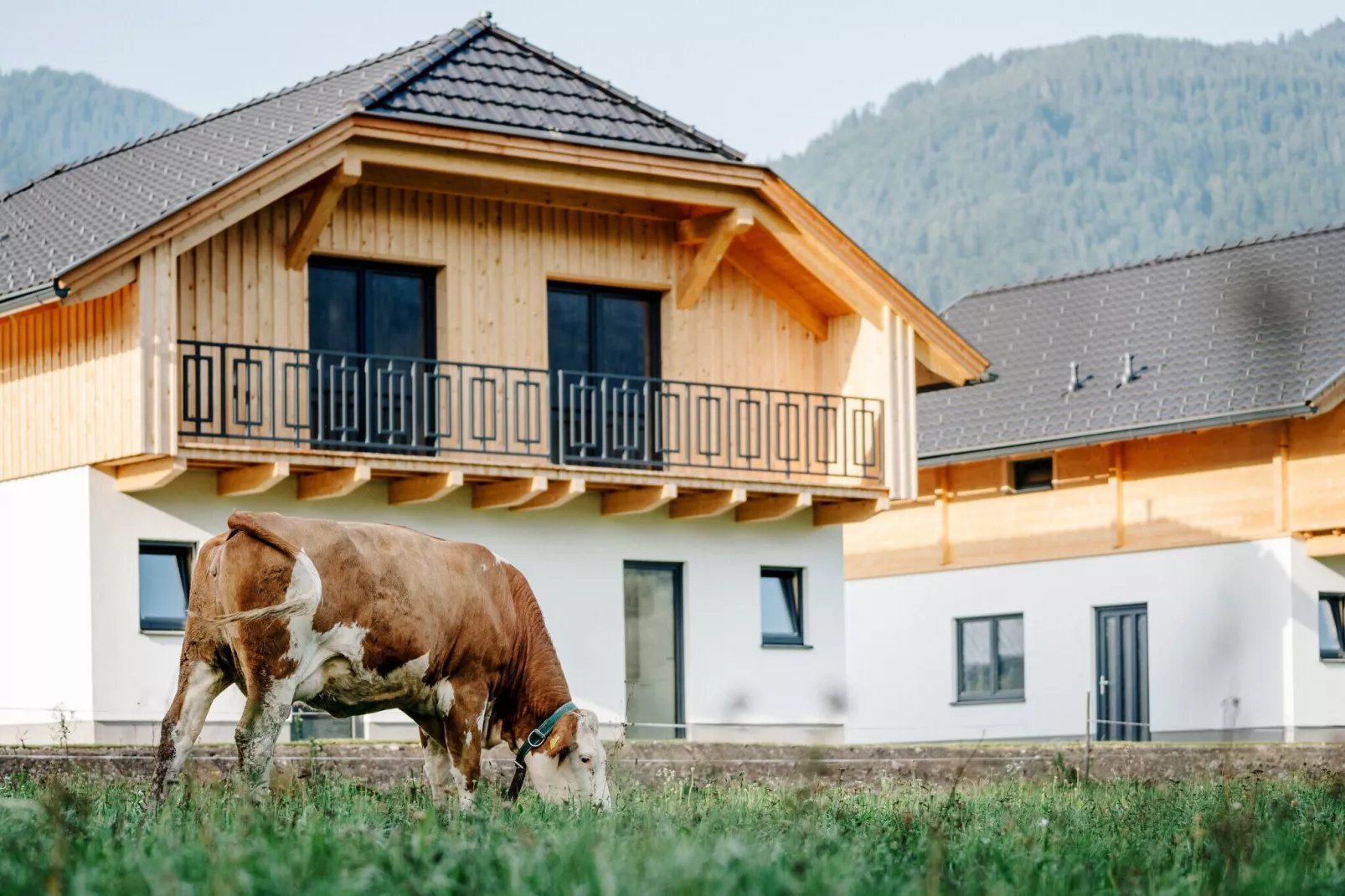 Clofers Relax Residences Rattendorf