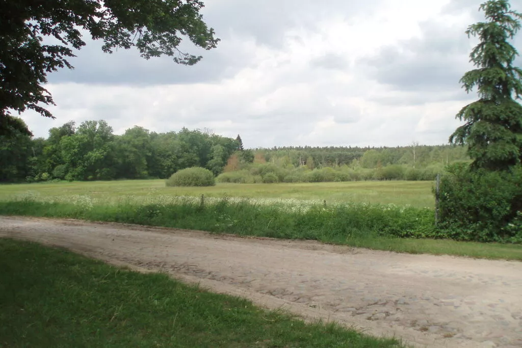 18511-Gebieden zomer 5km