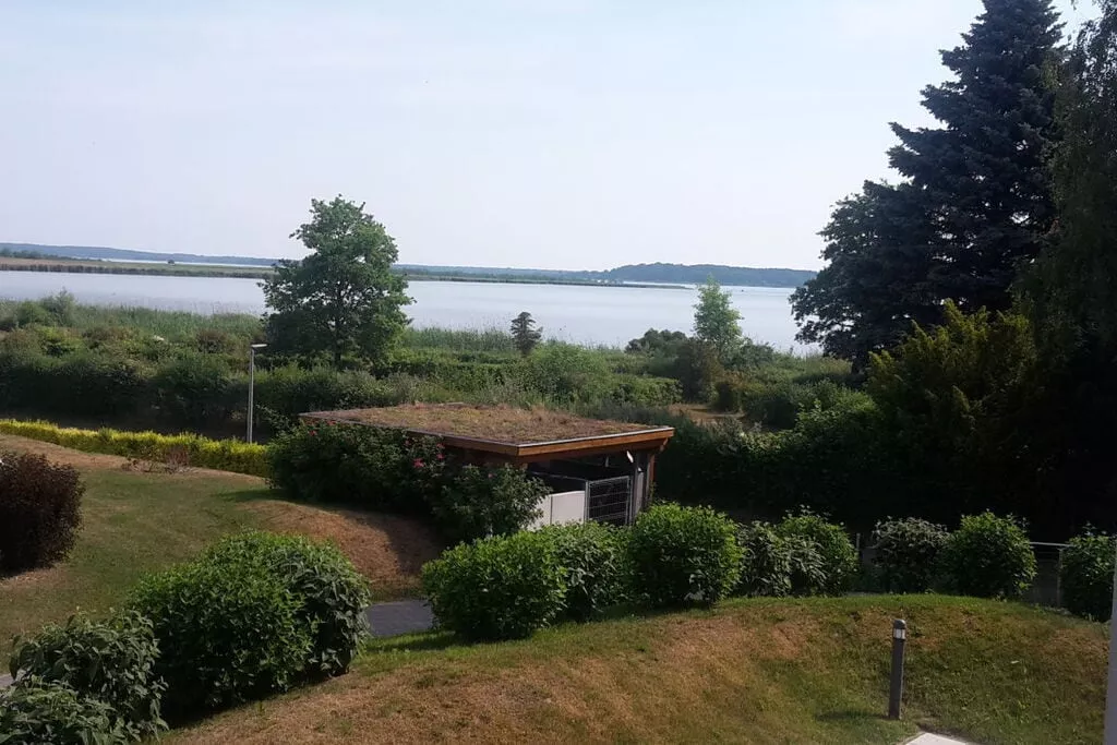 56969-Tuinen zomer